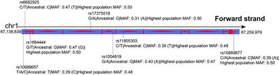 The Association Study of IL-23R Polymorphisms With Cerebral Palsy in Chinese Population